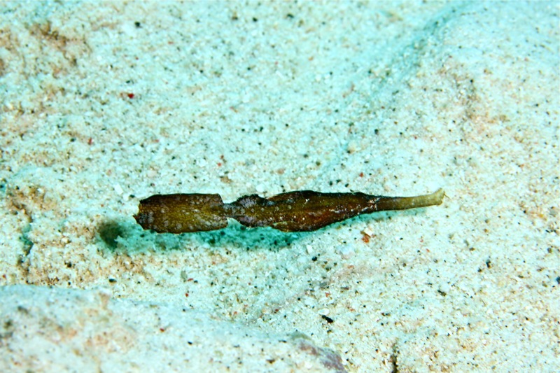 Photographer:Juergen Stamms