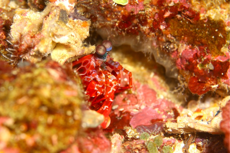 Photographer:Juergen Stamms