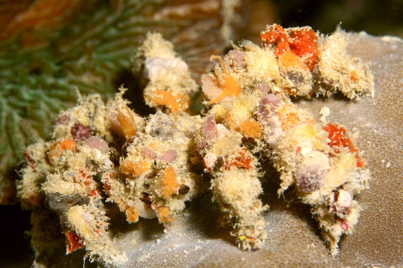 Photographer:Juergen Stamms