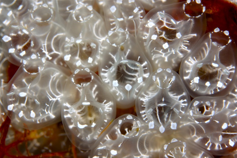 Photographer:Juergen Stamms