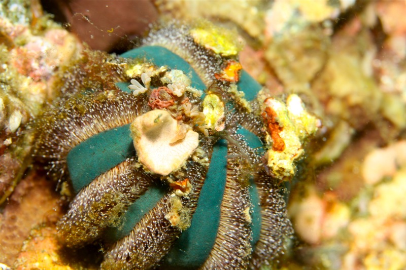 Photographer:Juergen Stamms