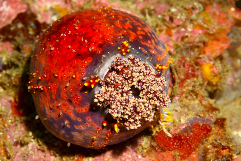 Photographer:Juergen Stamms