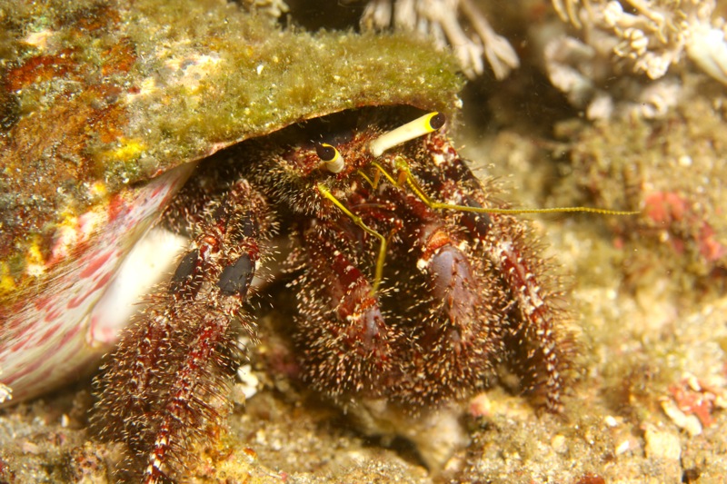 Photographer:Juergen Stamms