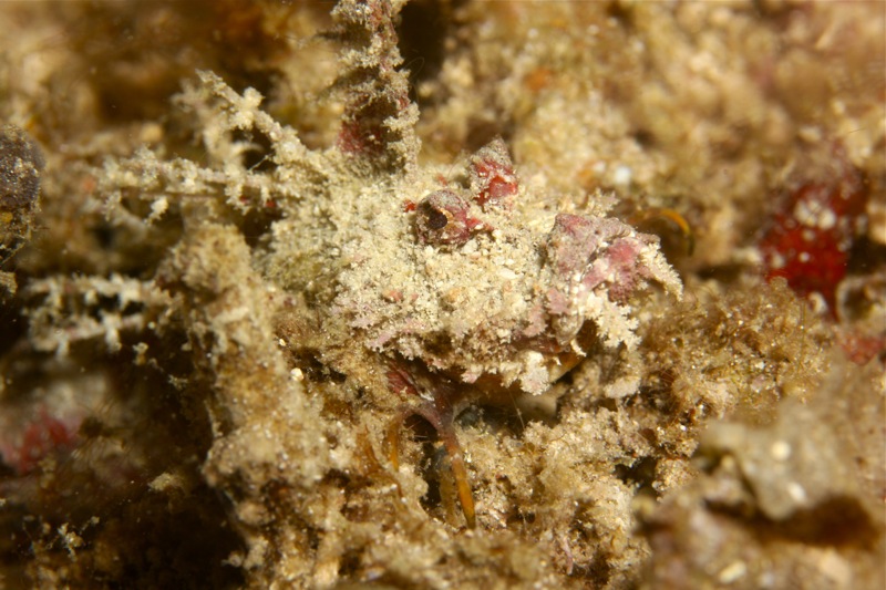 Photographer:Juergen Stamms