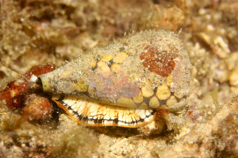 Photographer:Juergen Stamms