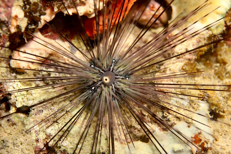 Photographer:Juergen Stamms