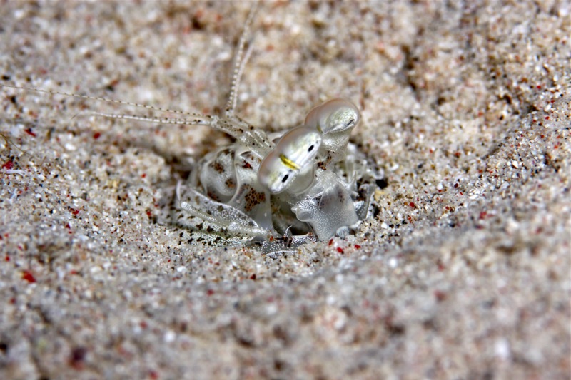 Photographer:Juergen Stamms