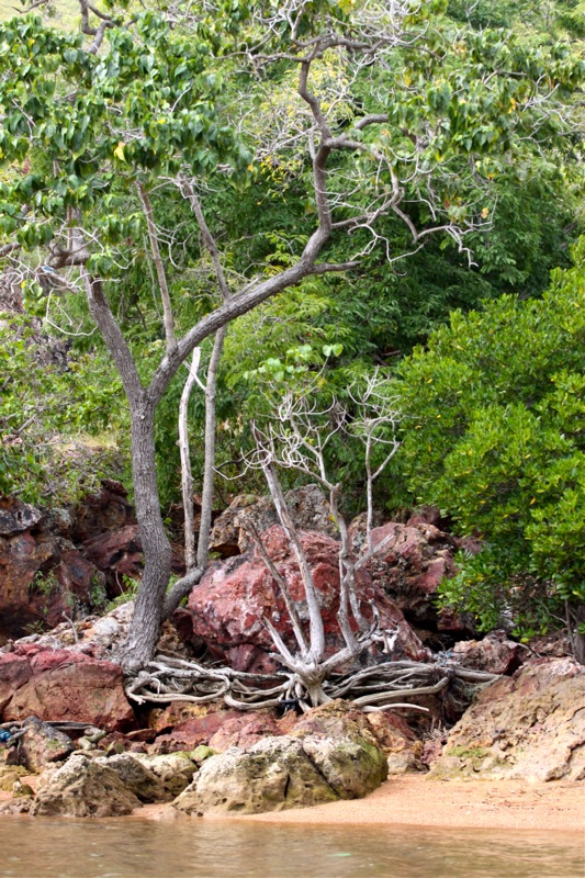 Photographer:Juergen Stamms