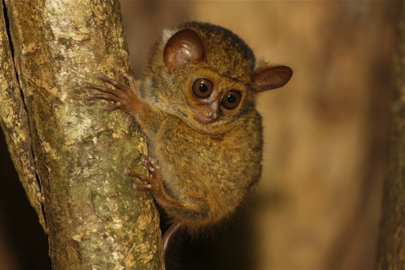 Photographer:Juergen Stamms