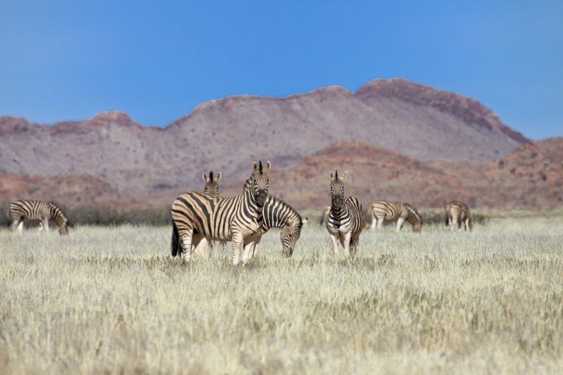 Photographer:
Juergen Stamms