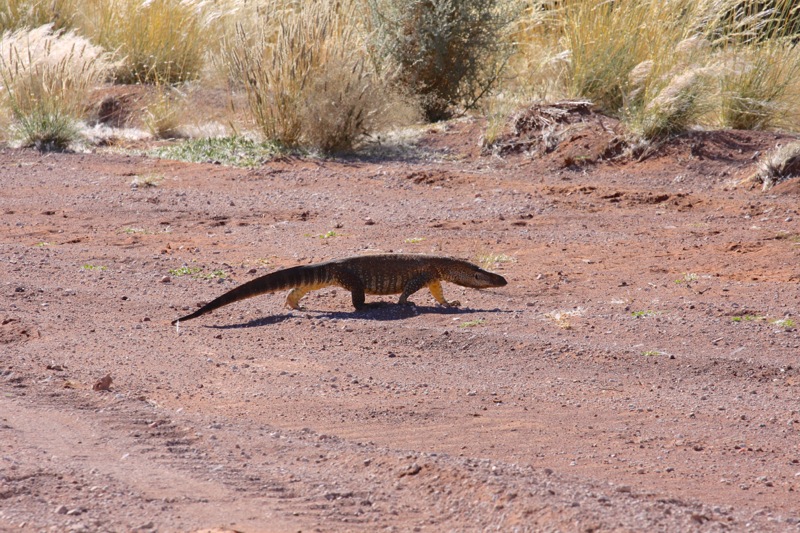 Photographer:
Juergen Stamms