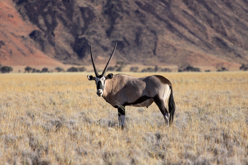 Photographer:
Juergen Stamms