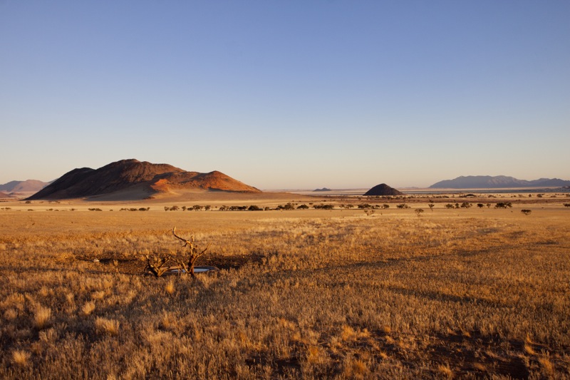 Photographer:
Juergen Stamms