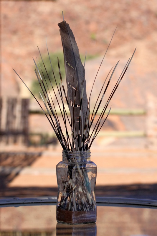 Photographer:
Juergen Stamms