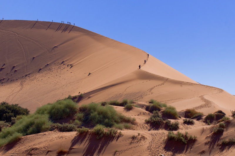 Photographer:
Juergen Stamms