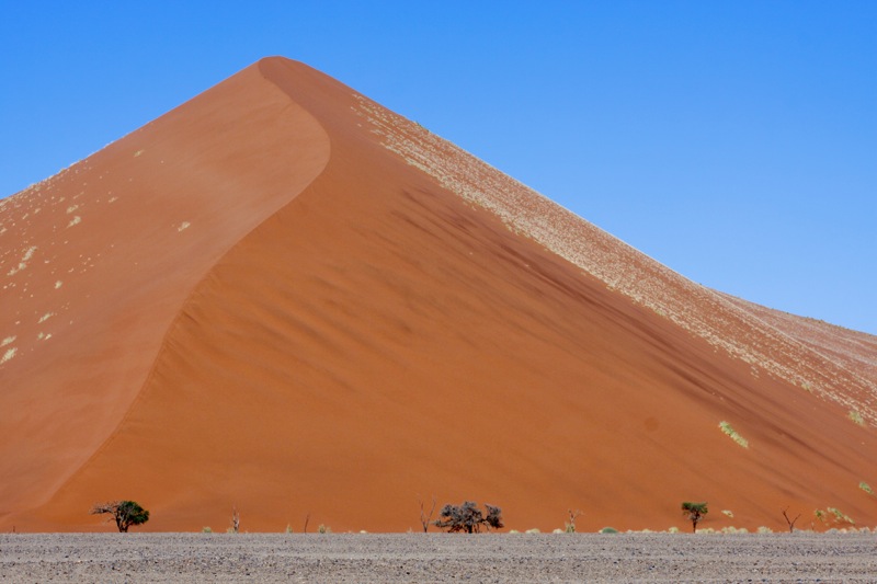 Photographer:
Juergen Stamms