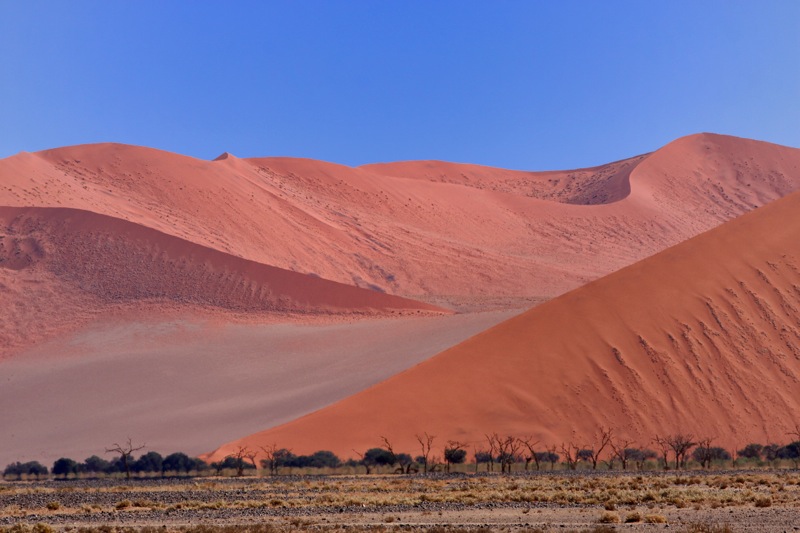 Photographer:
Juergen Stamms