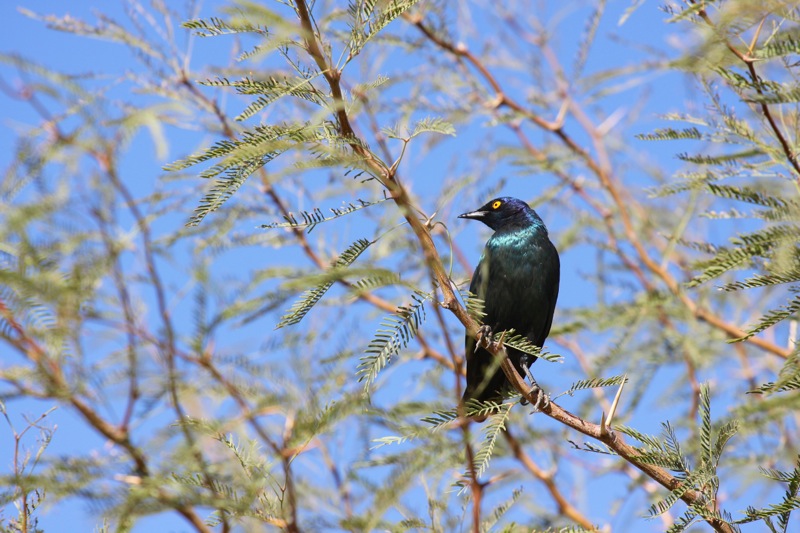 Photographer:
Juergen Stamms