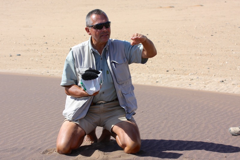 Photographer:
Juergen Stamms