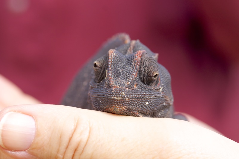 Photographer:
Juergen Stamms