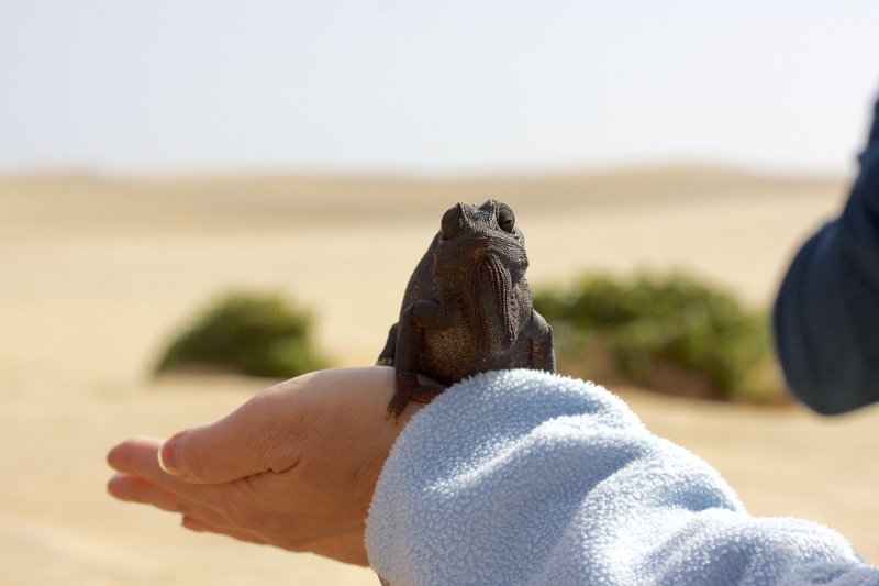 Photographer:
Juergen Stamms