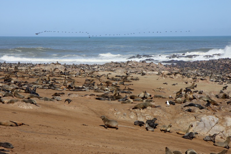 Photographer:
Juergen Stamms