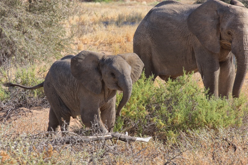 Photographer:
Juergen Stamms
