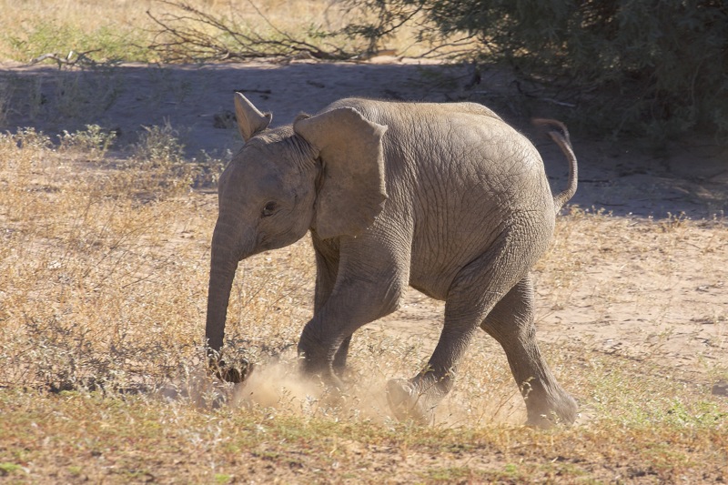 Photographer:
Juergen Stamms