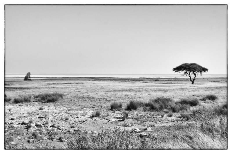 Photographer:
Juergen Stamms