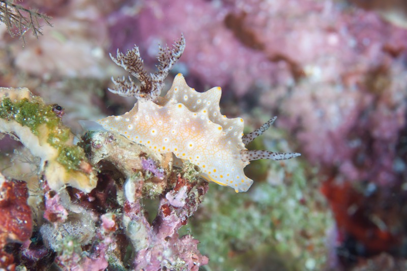 Photographer:
Juergen Stamms