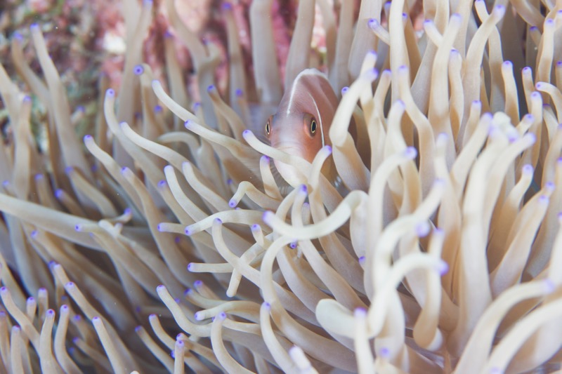 Photographer:
Juergen Stamms