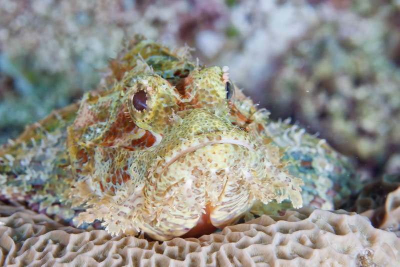 Photographer:
Juergen Stamms