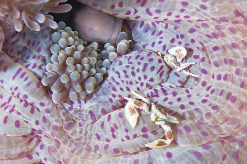 Photographer:
Juergen Stamms