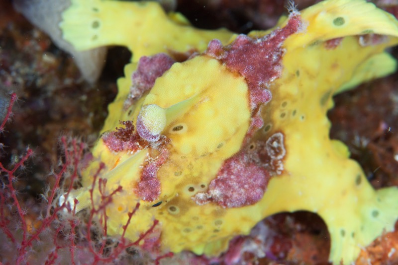 Photographer:
Juergen Stamms