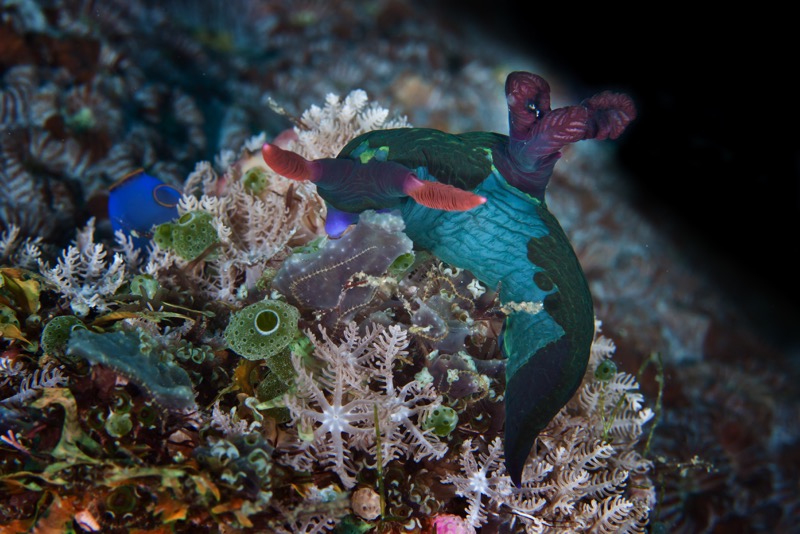 Photographer:
Juergen Stamms