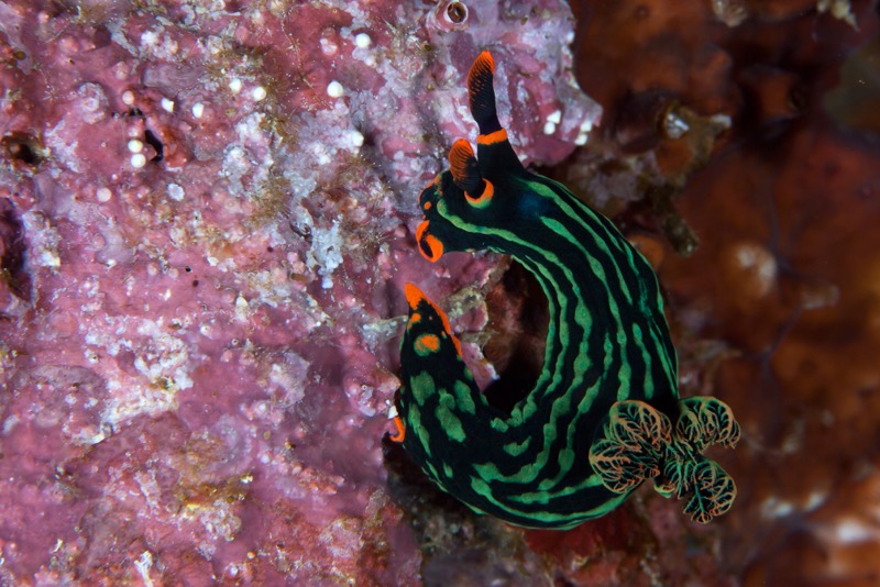 Photographer:
Juergen Stamms