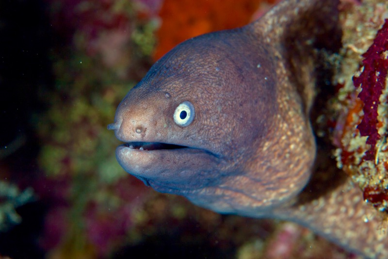 Photographer:
Juergen Stamms