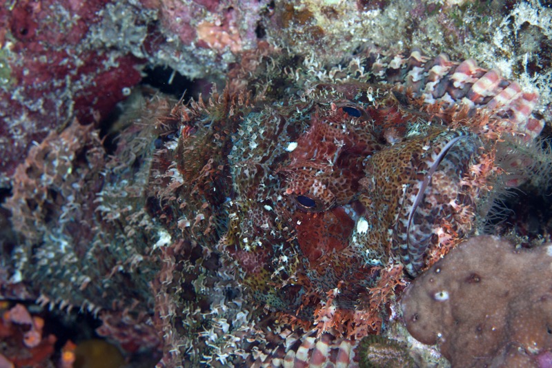 Photographer:
Juergen Stamms