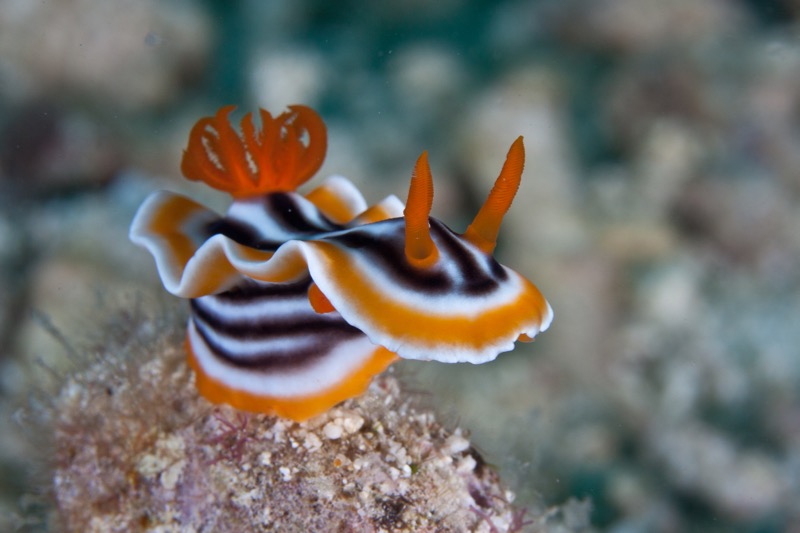 Photographer:
Juergen Stamms