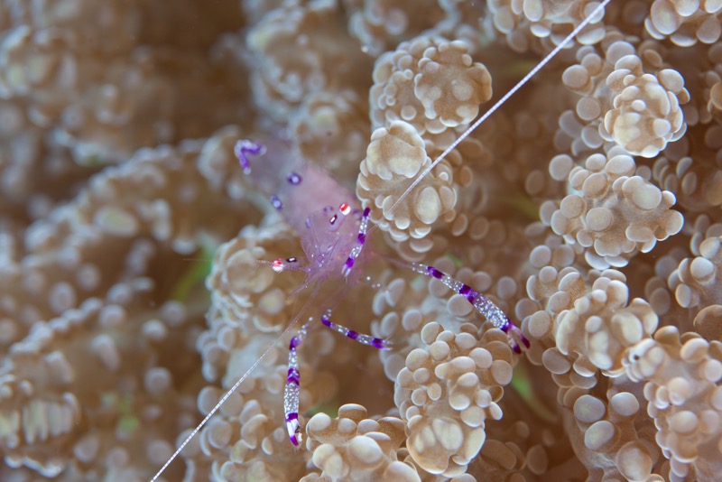 Photographer:
Juergen Stamms