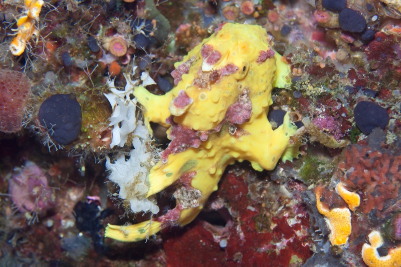 Photographer:
Juergen Stamms