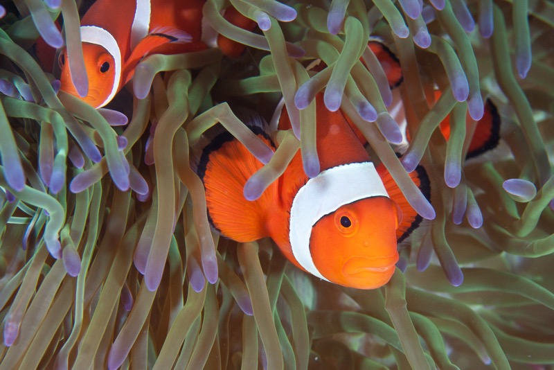 Photographer:
Juergen Stamms