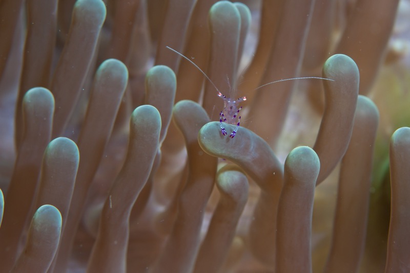 Photographer:
Juergen Stamms