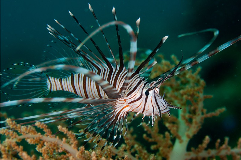 Photographer:
Juergen Stamms