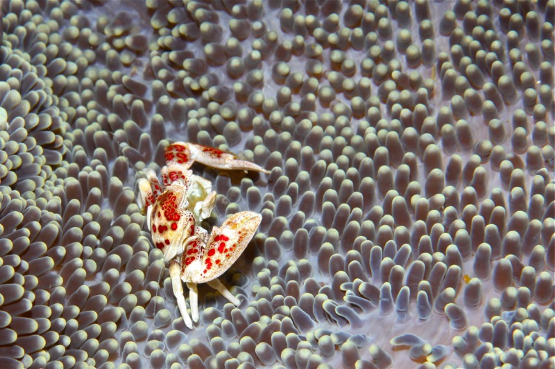 Photographer:Juergen Stamms