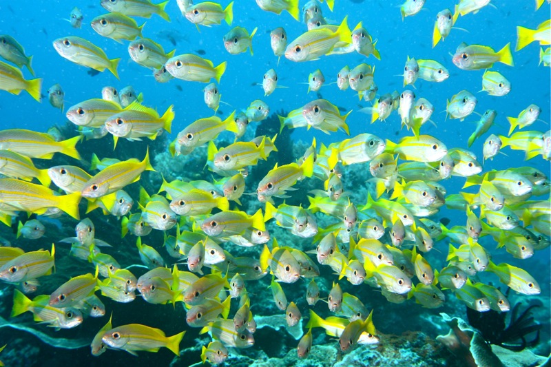 Photographer:Juergen Stamms