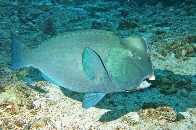 Photographer:Juergen Stamms