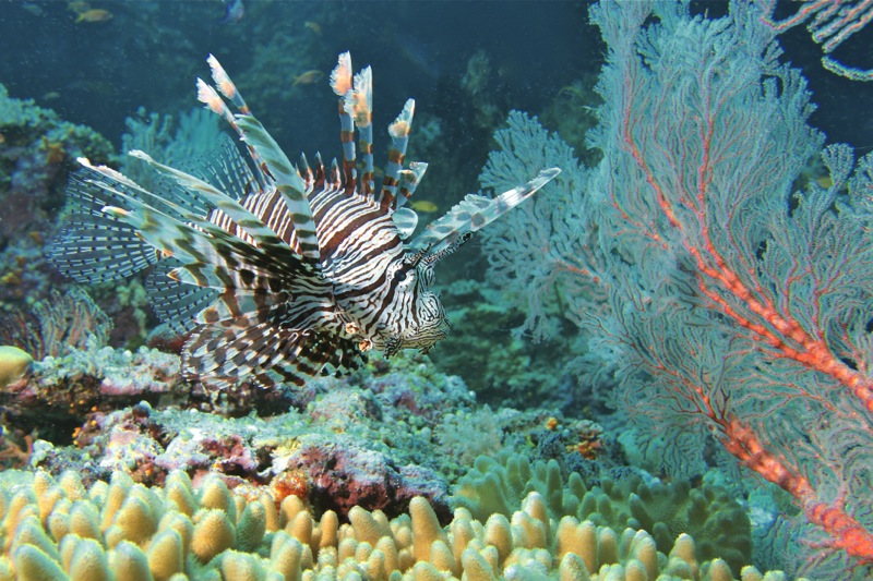 Photographer:Juergen Stamms