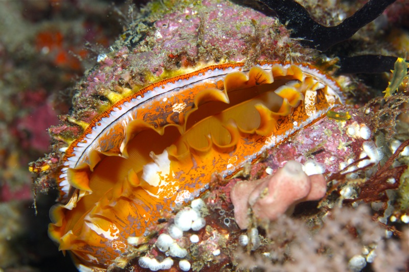 Photographer:Juergen Stamms