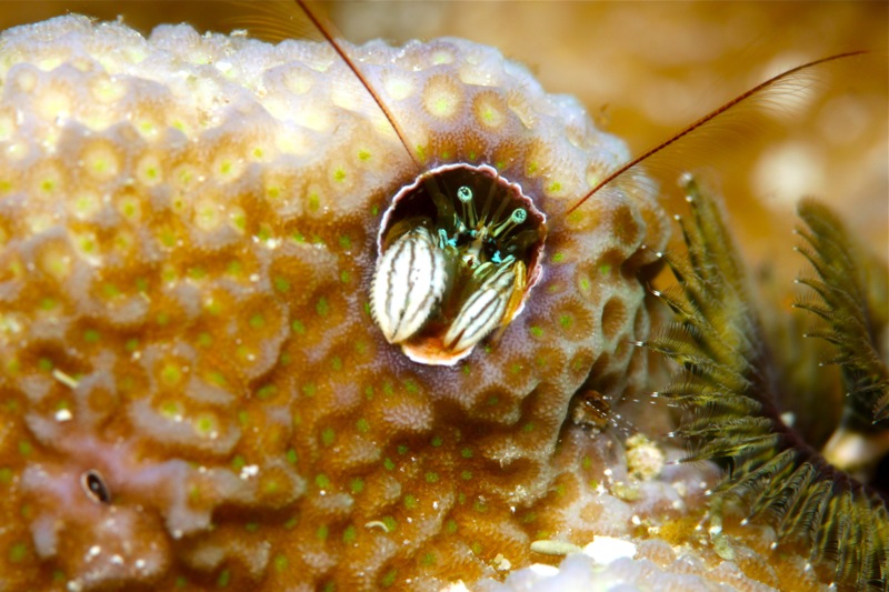 Photographer:Juergen Stamms